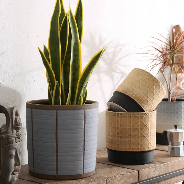 Exquisite Bulk Garden Pots, Ceramic Plant Pots Wholesale-106