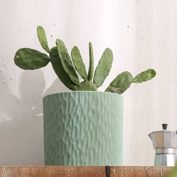Exquisite Bulk Garden Pots, Ceramic Plant Pots Wholesale-210