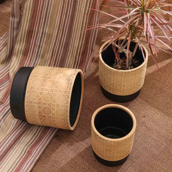 Exquisite Bulk Garden Pots, Ceramic Plant Pots Wholesale-214
