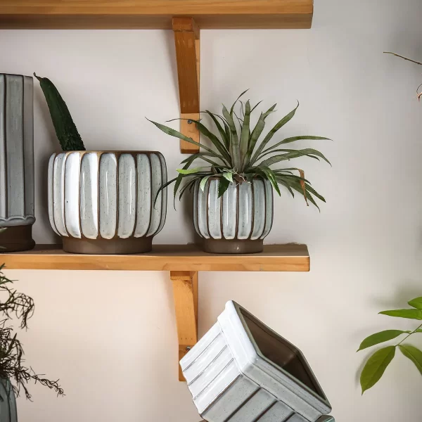 Premium Wholesale Plant Pots With Stripe Pattern Design-2