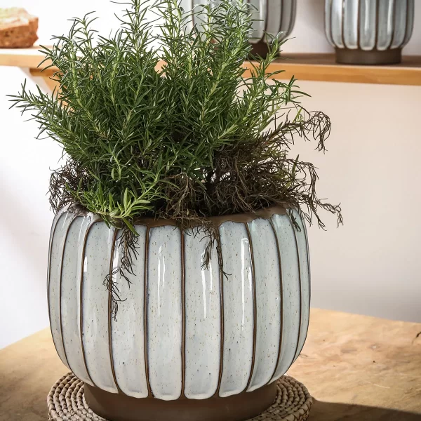 Premium Wholesale Plant Pots With Stripe Pattern Design-5