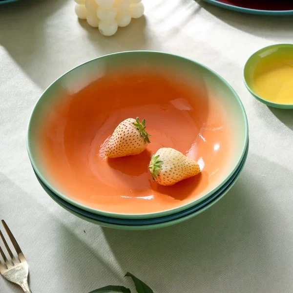 Leichtes Restaurantgeschirr Bulk, Twin Glaze Dinner Set-3
