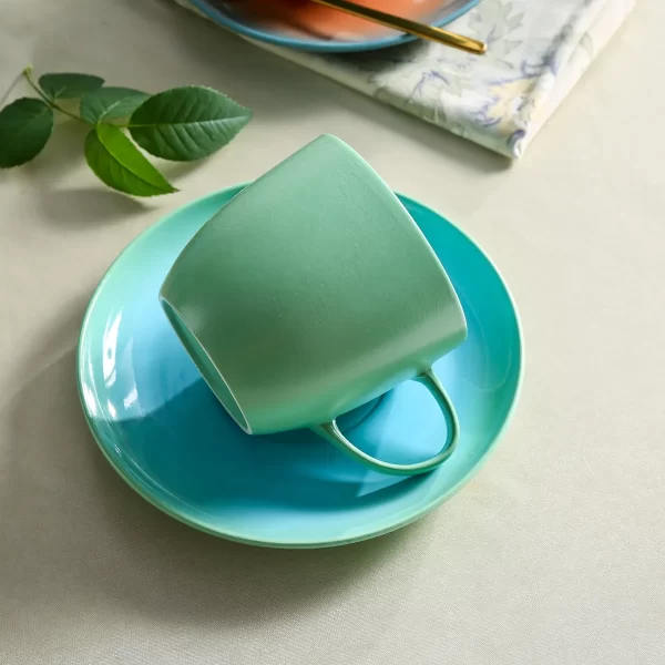 Leichtes Restaurant-Geschirr Bulk, Twin Glaze Dinner Set-5