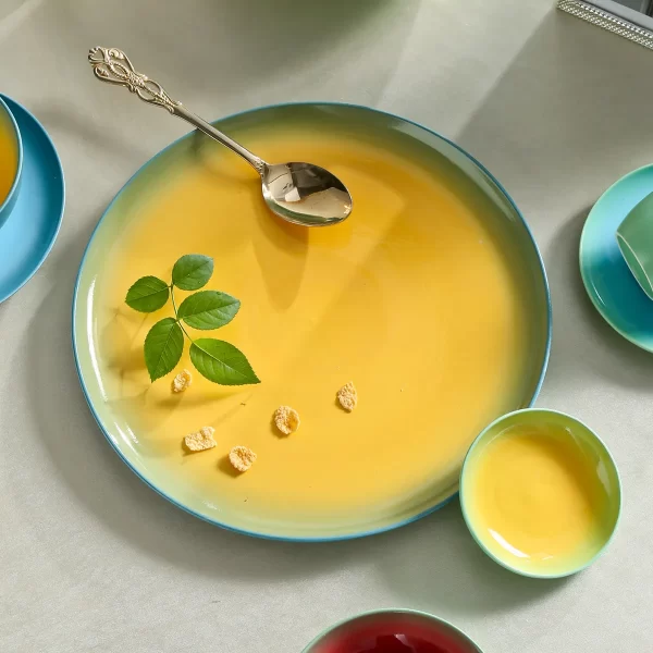 Leichtes Restaurant-Geschirr Bulk, Twin Glaze Dinner Set-7