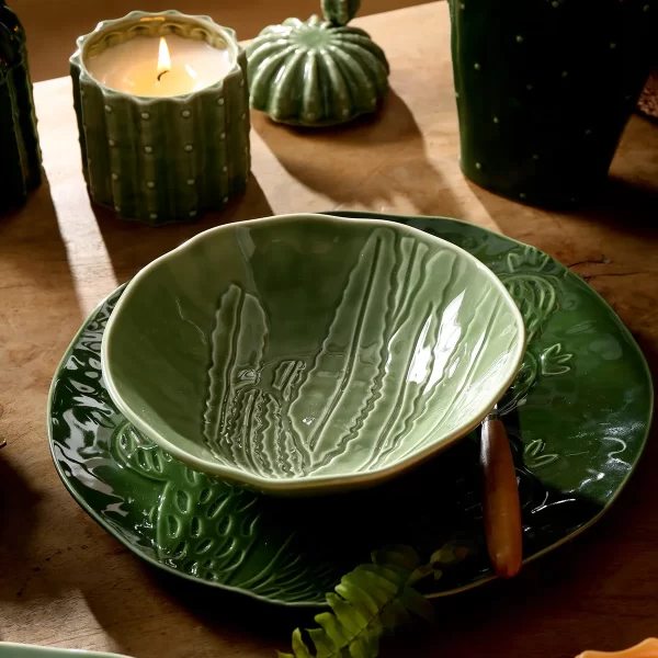 Wholesale China Dinnerware Sets, Cactus Themed Tableware-10