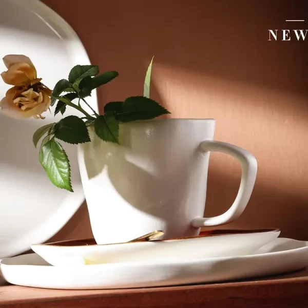Wholesale Porcelain Dinner Sets, White & Brown Crockery-5